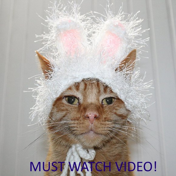 Hand Crafted Other - HAND CRAFTED Crochet Hairy Wig Bunny Ears Cat Hat Costume Photo Prop